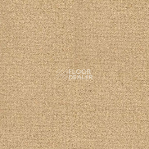 Ковролин Radici Abetone Miele 0736 фото 1 | FLOORDEALER